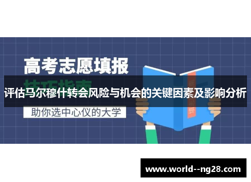 评估马尔穆什转会风险与机会的关键因素及影响分析