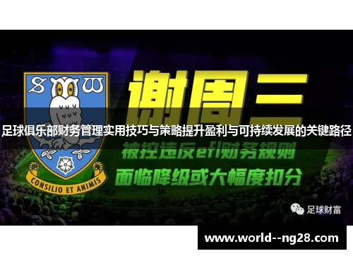 足球俱乐部财务管理实用技巧与策略提升盈利与可持续发展的关键路径 足球俱乐部财务管理实用技巧与策略提升盈利与可持续发展的关键路径